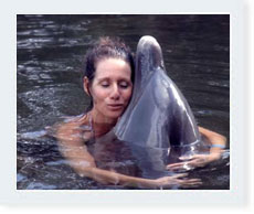 Osi can even fix dolphins.